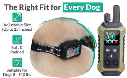 Intelipaws 2-in-1 Wireless GPS Fence and Training Collar